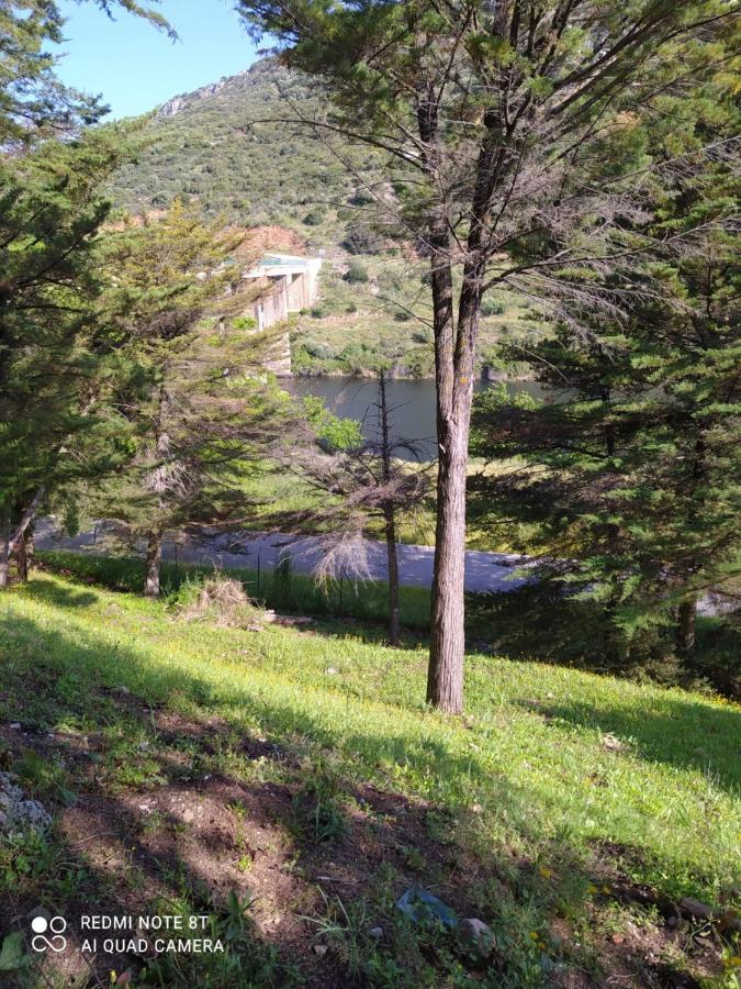 Casa en plena naturaleza. Valdecanas de Tajo Exterior foto